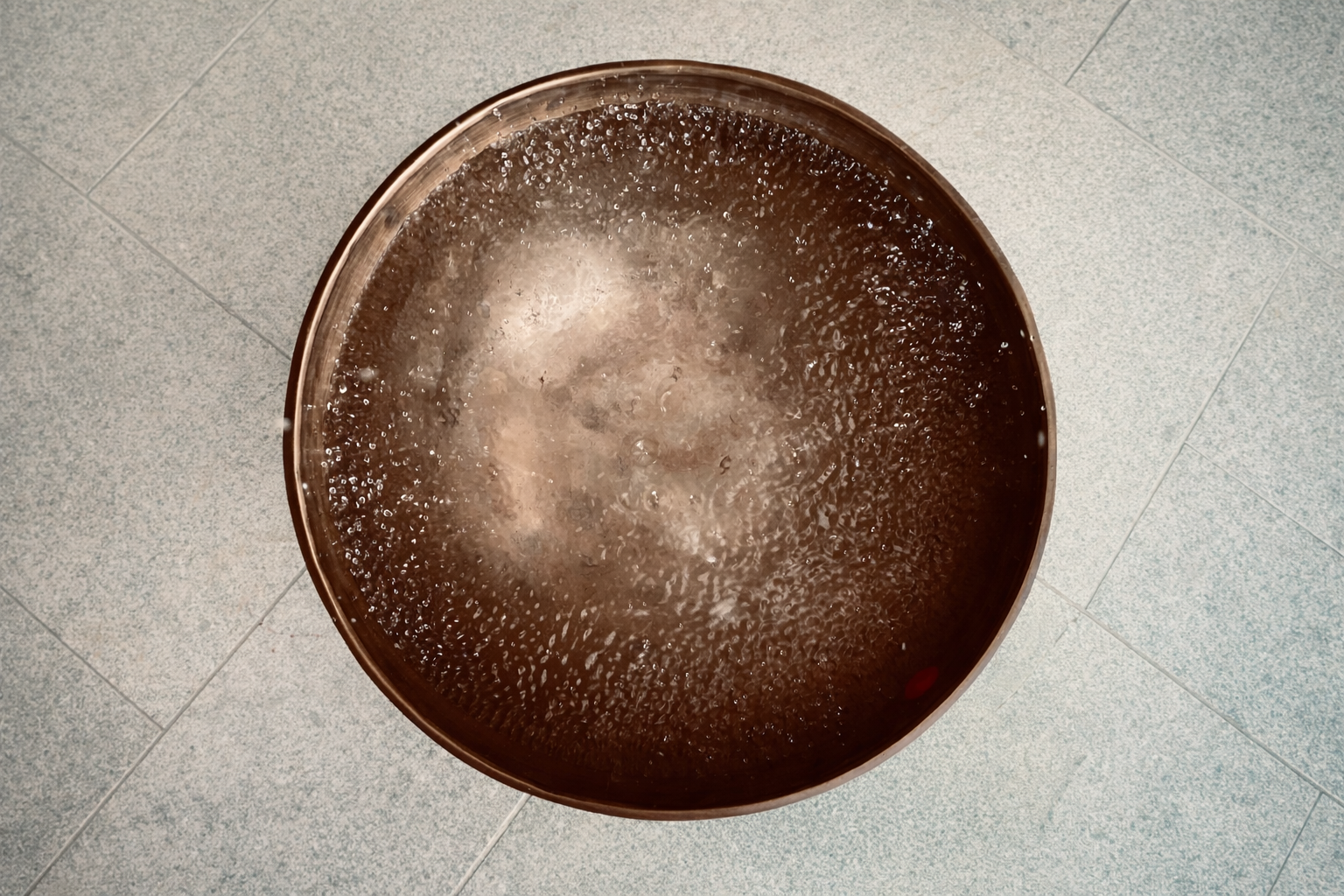 Somatic Intelligence